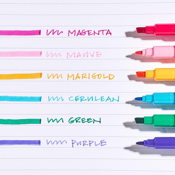 Erin Condren Dual Tip Markers, Colorful and Versatile Marker Set for Journals, Planners, and Note-Taking, Includes Fine Tip and Medium Tip, Teacher Motivational Quotes, Set of 6