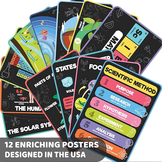 jackinthebox 12 Science Posters for Classroom - 12 x 17 inches Laminated, Middle School Science Posters, Posters for High School, Science Classroom Decor, Science Bulletin Board Sets, Easter Gifts for Kids.