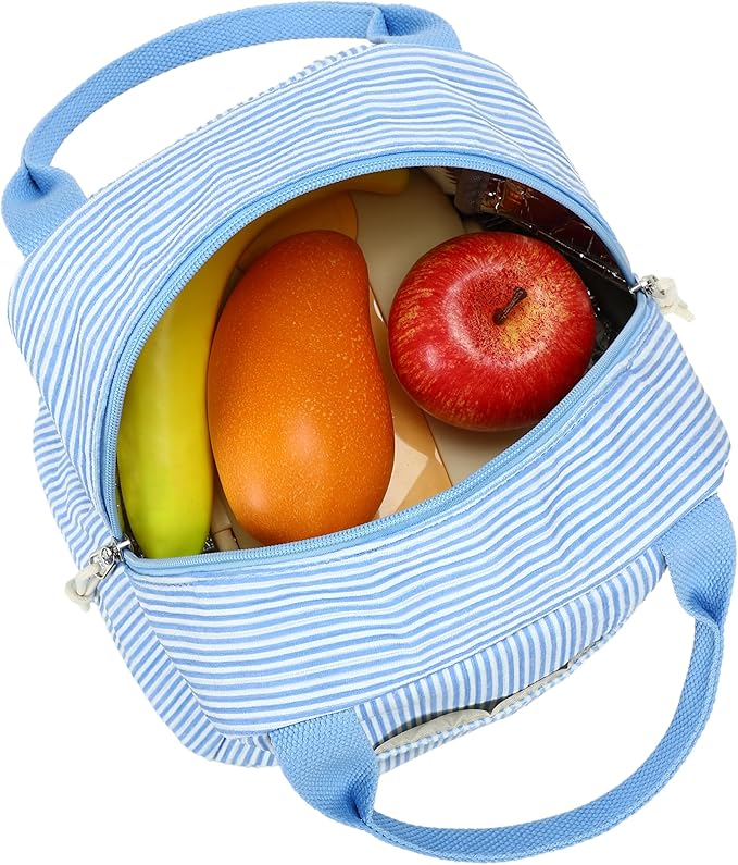 LEDAOU Lunch Box for Women Insulated Lunch Bag Corduroy Lunch Tote Bags Leakproof Cooler Lunch Case for Travel Work Picnic (K-Stripes-Blue)