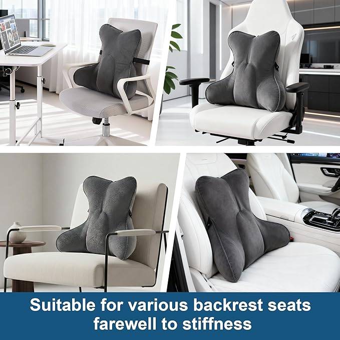 Lumbar Support Pillow(Pat. Pend) – Ergonomic Multi-Zone Back Cushion for Lower Back Pain Relief, Ideal for Office Chair, Car Seat & Home Reading,Steel Gray