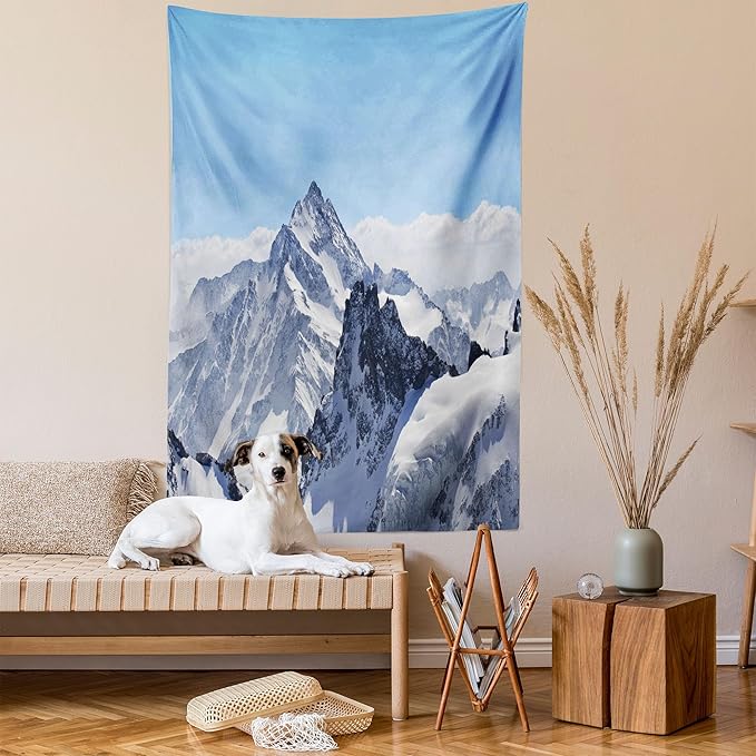 Ambesonne Winter Tapestry, Snowy Rocky Mountain Peaks Tops Scene High Lands ICY Frozen Swiss Outdoor Art, Wall Hanging for Bedroom Living Room Dorm Decor, 40" X 60", Blue and White