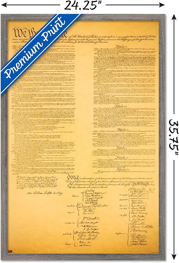 Trends International The Constitution Wall Poster, 22.375" x 34", Barnwood Framed Version