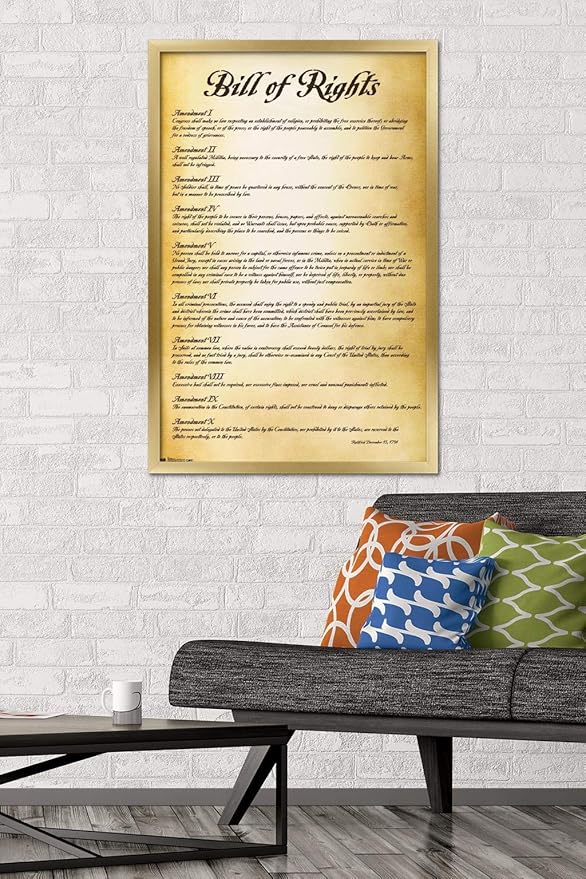 Trends International The United States of America - Bill of Rights Wall Poster, 22.375" x 34", Gold Framed Version