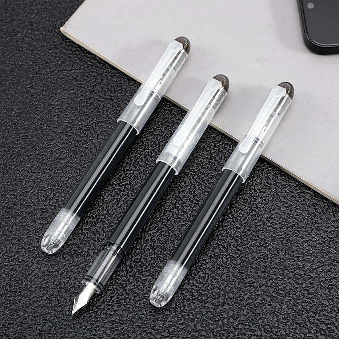 Disposable Fountain Pens for Writing - Fine Point Nib, Pack of 12, Black