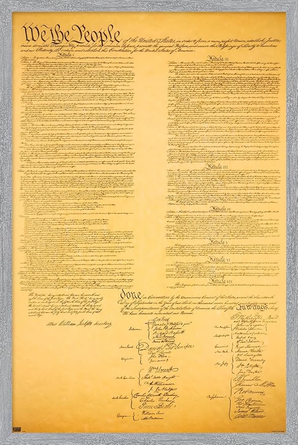 The Constitution Wall Poster, 34L" x 22.4W", Gray Framed Version