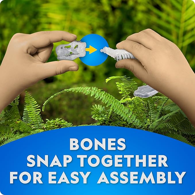 National Geographic Glow-in-The-Dark Dinosaur Skeleton Models Kit – Build Replica Velociraptor & T. rex Skeletons, Easy Snap-Together Bones, Educational Dinosaur Activity Kit for Kids