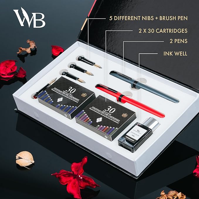 Wordsworth and Black Fountain Pen Set - Grey - Includes 2 Pens, 18 ML Ink Bottle, 60 Ink Cartridges, A Refill Converter, 1 Medium and 4 Broad Nibs, Brush Pen - Fountain Pen Kit for Beginners