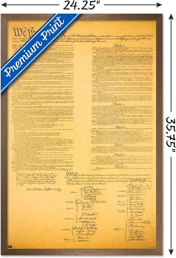 Trends International The Constitution Wall Poster, 22.375" x 34", Bronze Framed Version