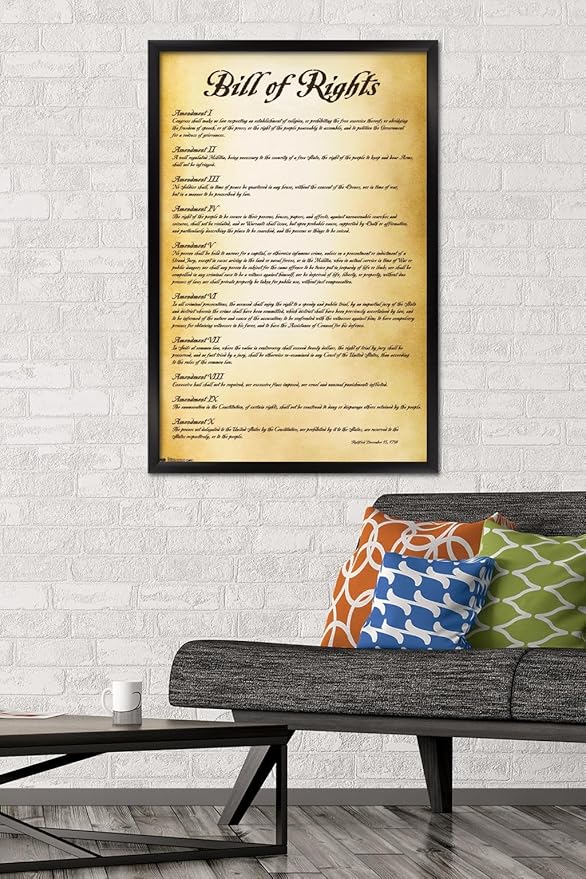 Trends International The United States of America - Bill of Rights Wall Poster, 22.375" x 34", Black Framed Version