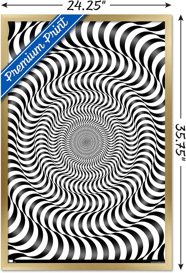 Trends International Zebra Stripe Optical Illusion Wall Poster, 22.375" x 34", Gold Framed Version