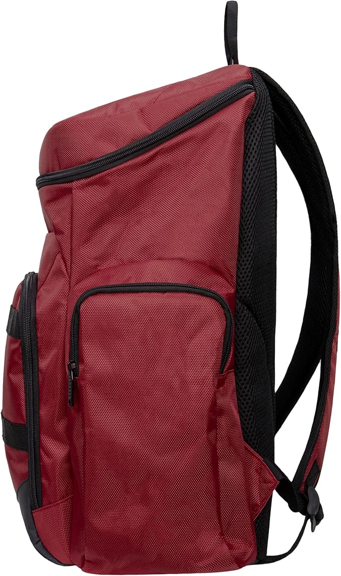 FOCO Atlanta Falcons NFL Carrier Backpack