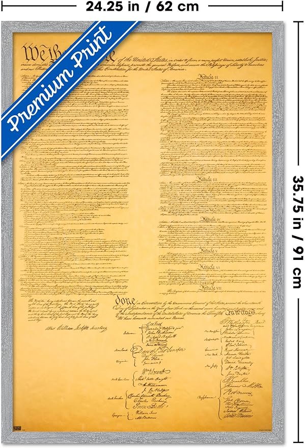 The Constitution Wall Poster, 34L" x 22.4W", Gray Framed Version