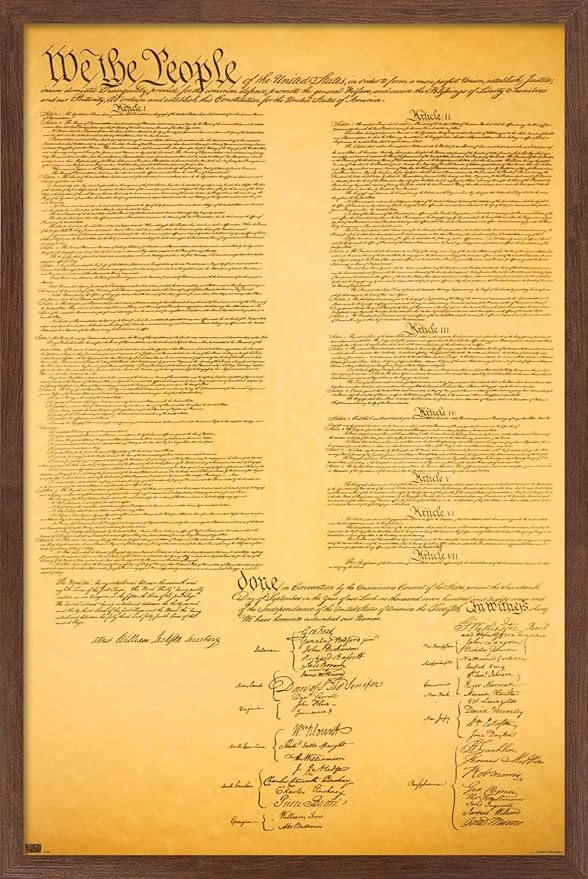 Trends International The Constitution Wall Poster, 22.375" x 34", Mahogany Framed Version