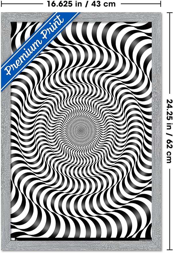 Trends International Zebra Stripe Optical Illusion Wall Poster, 22.4L x 14.7W, Gray Framed Version