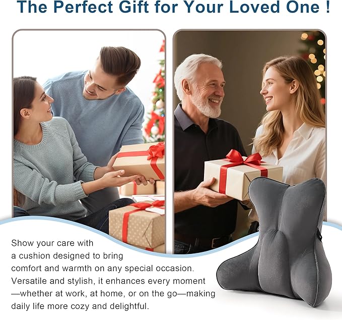 Lumbar Support Pillow(Pat. Pend) – Ergonomic Multi-Zone Back Cushion for Lower Back Pain Relief, Ideal for Office Chair, Car Seat & Home Reading,Steel Gray