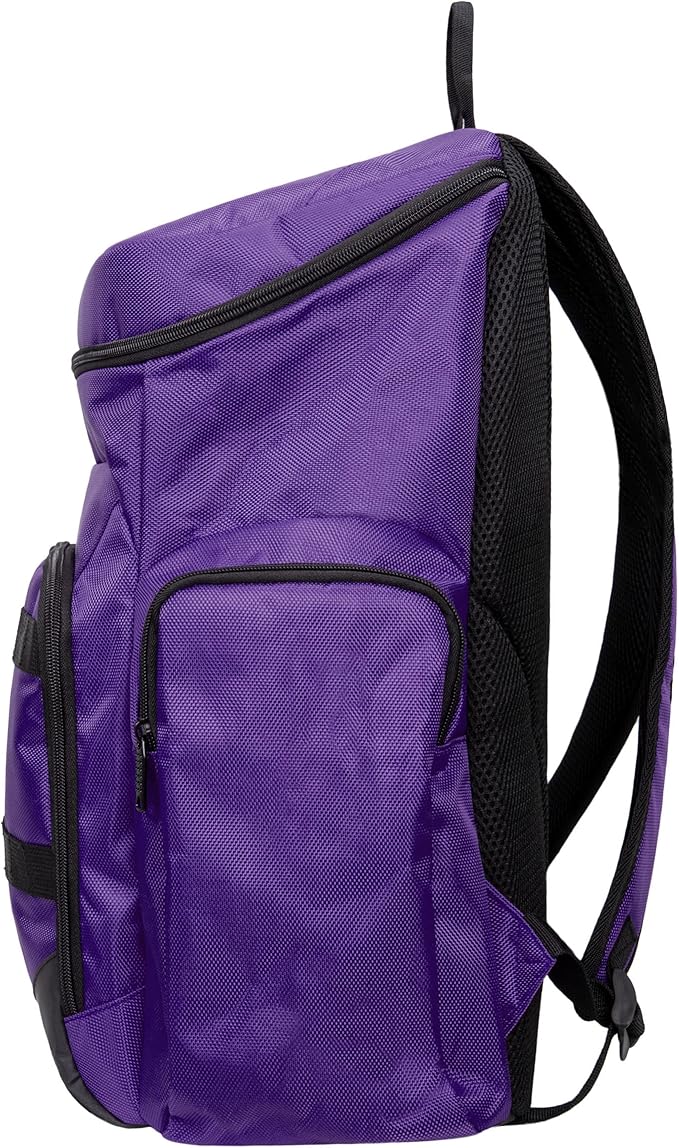 FOCO Minnesota Vikings NFL Carrier Backpack