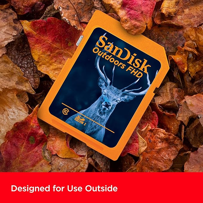 SanDisk 32GB 2-Pack Outdoors FHD SDHC UHS-I Memory Card (2x32GB)- Up to 100MB/s, C10, Trail Camera SD Card - SDSDUNR-032G-GN6V2