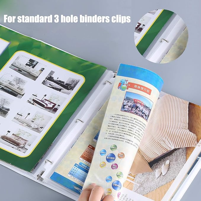 Seashell 250 Economy Sheet Protectors 8.5 x 11, Clear Plastic Page Protectors for 3 Ring Binder, Letter Size, Acid Free, Top Loading, Binder Sleeves for 8.5 x 11 Inch Sheets