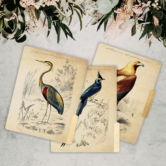 PARTH IMPEX 12 Pack Decorative File Folders, 1/3 Cut Tab with Assorted Positions, Letter Size Paper Holders (9.75” x 11.75”) Matte Finish Laminated for Office School Work - Vintage Birds Design