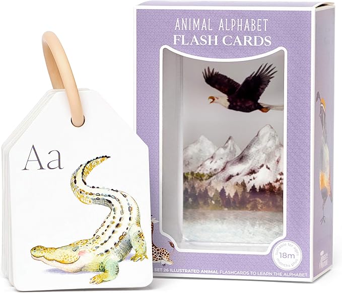 Berry Lane Animal Alphabet Flash Cards for Toddlers | 26 Hand Drawn Animal Art Toddler Flash Cards | ABC | Eco-Friendly Flashcards | Child Friendly Ring