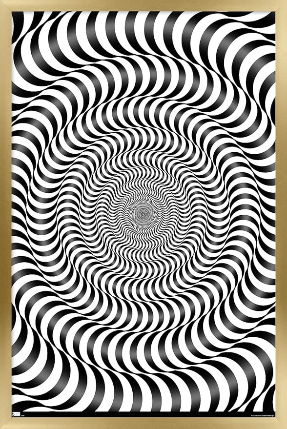 Trends International Zebra Stripe Optical Illusion Wall Poster, 22.375" x 34", Gold Framed Version