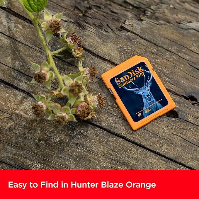 SanDisk 32GB 2-Pack Outdoors FHD SDHC UHS-I Memory Card (2x32GB)- Up to 100MB/s, C10, Trail Camera SD Card - SDSDUNR-032G-GN6V2