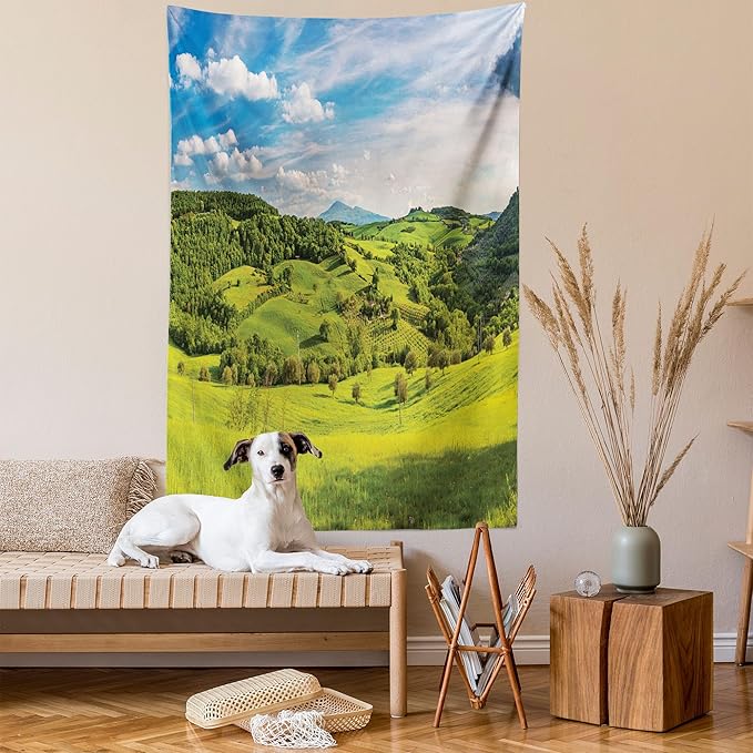 Ambesonne Tuscany Tapestry, Tuscany Italy Sunlight Homestead Plantation Farms Pathway Greenery Print, Wall Hanging for Bedroom Living Room Dorm Decor, 40" X 60", Sky Blue Apple Green
