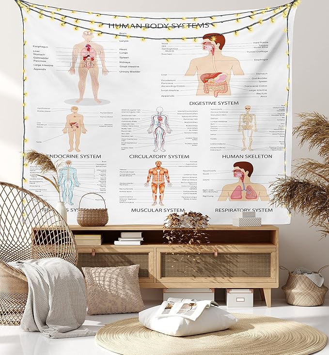 Ambesonne Human Anatomy Tapestry, Chart of Organs Body Structures Biology Themed Cartoon Schemes, Fabric Wall Hanging Decor for Bedroom Living Room Dorm, 28" X 23", White and Multicolor
