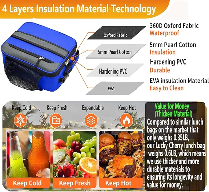 Lunch Box Insulated Lunch bag for Men Teen Kids Boys Adult Portable Stylish Small Lunchbox Special Design for Working Office school Picnic