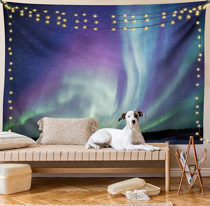 Ambesonne Aurora Borealis Tapestry, Exquisite Atmosphere Solar Starry Sky Calming Night Image, Fabric Wall Hanging Decor for Bedroom Living Room Dorm, 28" X 23", Dark Blue Mint Green