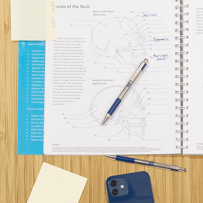 Zebra Pen F-301 Ballpoint Blue Ink Fine Point 0.7mm Pen, Easy-Glide Ink, Stainless Steel Retractable, Non-Slip Grip, Professional Design, Ideal for Office, Journal and Planner Use, 2-Pack (27122)