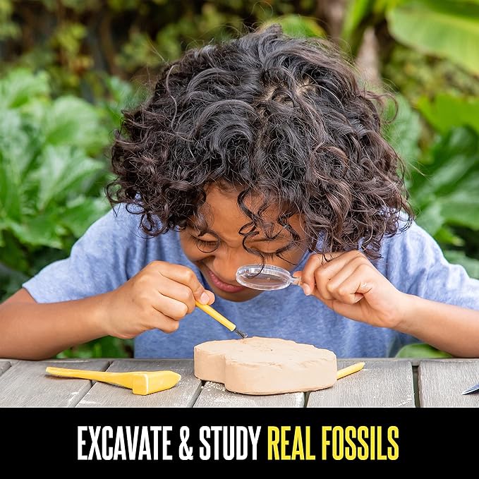 Educational Insights GeoSafari Fossil Excavation Kit, Kids Science Kit, Dinosaur Science Toy, Ages 7+