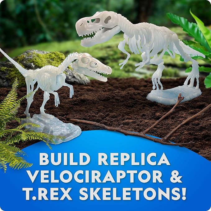 National Geographic Glow-in-The-Dark Dinosaur Skeleton Models Kit – Build Replica Velociraptor & T. rex Skeletons, Easy Snap-Together Bones, Educational Dinosaur Activity Kit for Kids
