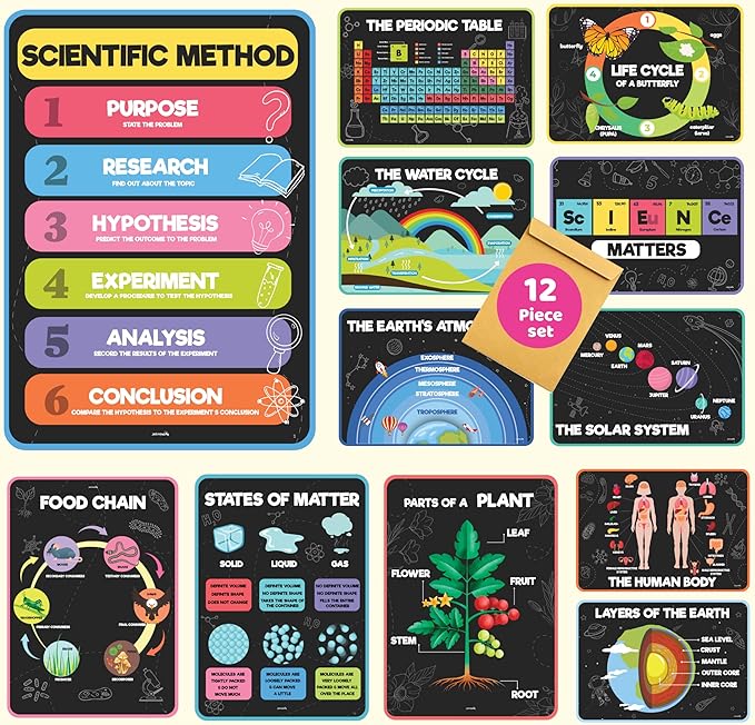 jackinthebox 12 Science Posters for Classroom - 12 x 17 inches Laminated, Middle School Science Posters, Posters for High School, Science Classroom Decor, Science Bulletin Board Sets, Easter Gifts for Kids.