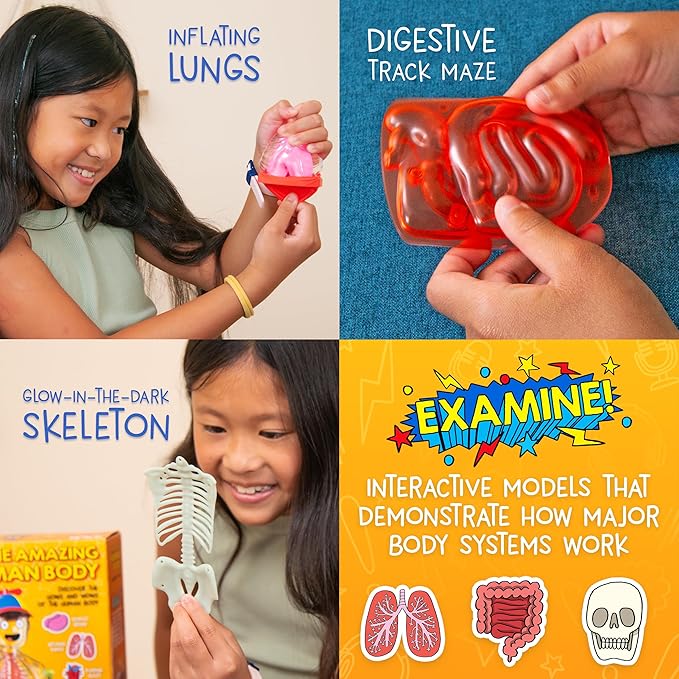 Wow in The World The Amazing Human Body Kit by Thames & Kosmos, Interactive Mechanical Anatomy Model w/Pumping Heart, Lungs, Digestive Tract, Glow-in-The-Dark Bones, Brain & More, Science for Ages 4+