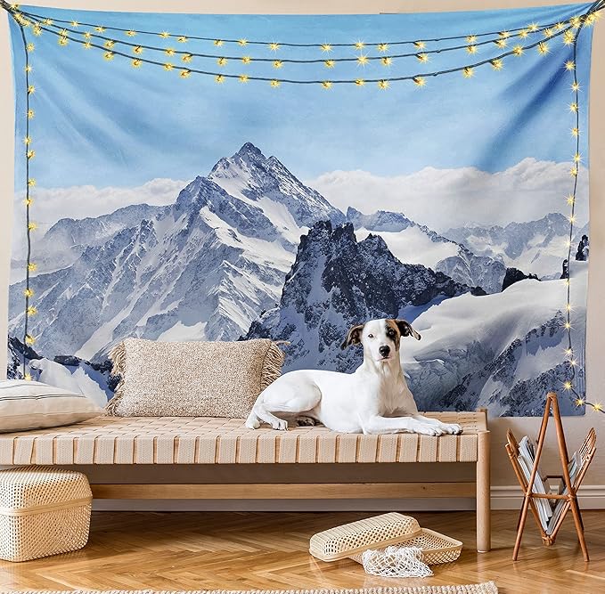 Ambesonne Winter Tapestry, Snowy Rocky Mountain Peaks Tops Scene High Lands ICY Frozen Swiss Outdoor Art, Wall Hanging for Bedroom Living Room Dorm Decor, 40" X 60", Blue and White