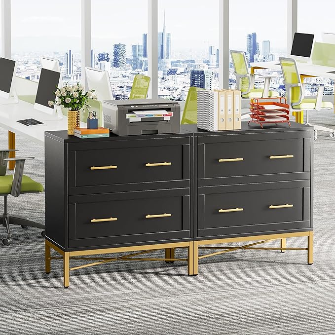 Tribesigns 2 Drawer File Cabinet, Modern Wood Lateral Filing Cabinet for Letter/Legal/A4 Size, Large File Storage Cabinets Printer Stand with Storage for Home Office, Black and Gold