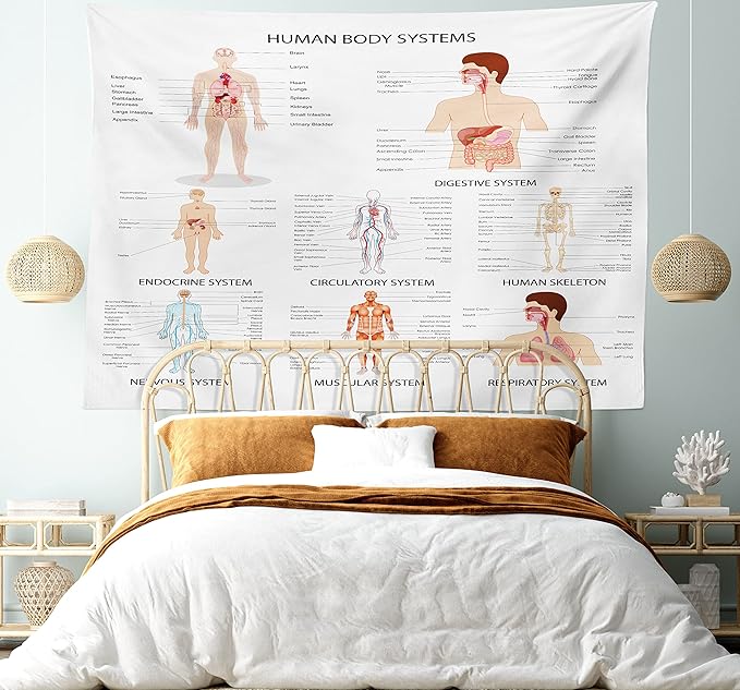Ambesonne Human Anatomy Tapestry, Chart of Organs Body Structures Biology Themed Cartoon Schemes, Fabric Wall Hanging Decor for Bedroom Living Room Dorm, 28" X 23", White and Multicolor