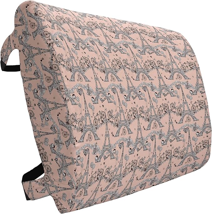 Ambesonne Eiffel Lumbar Back Support Pillow, Retro Bicycles Coffee Heart Balloons French Landmark Swirls, High Density Foam for Office Chairs Car Seats, 14" x 13", Salmon White