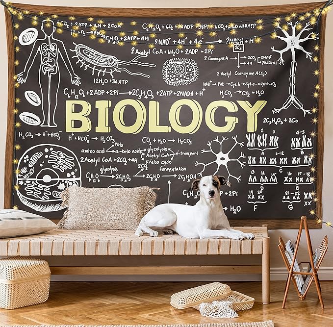 Ambesonne Science Tapestry, Chalkboard Biology Hand Written, Wide Wall Hanging for Bedroom Living Room Dorm, 60" X 40", Black Brown Pale Yellow