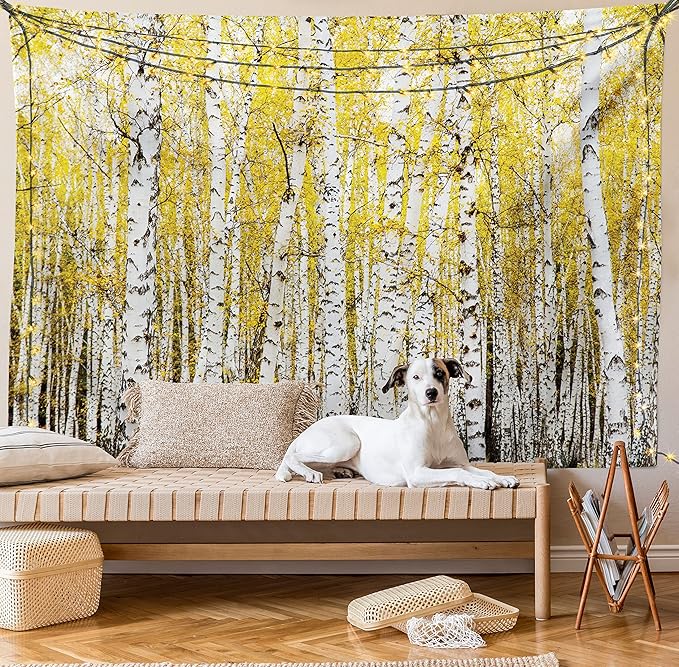 Ambesonne Forest Tapestry, Autumn Birch Forest Golden Yellow Leaves Woodland October Seasonal Nature Picture, Wall Hanging for Bedroom Living Room Dorm Decor, 60" X 80", Yellow Grey
