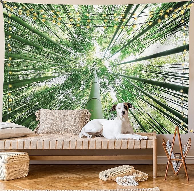 Ambesonne Forest Tapestry King Size, Tropical Rain Forest Tall Trees in Exotic Style Nature Theme Image Sky from Woodland, Wall Hanging Bedspread Bed Cover Wall Decor, 68" X 88", Green
